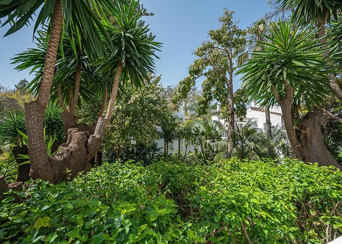Mejores hoteles del Imserso para tus vacaciones en Marbella